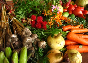 Légumes biologiques