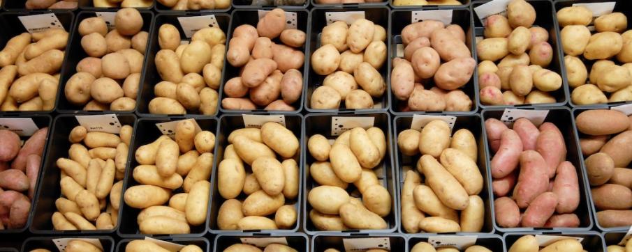 Pomme de terre