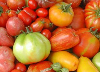 Tomate