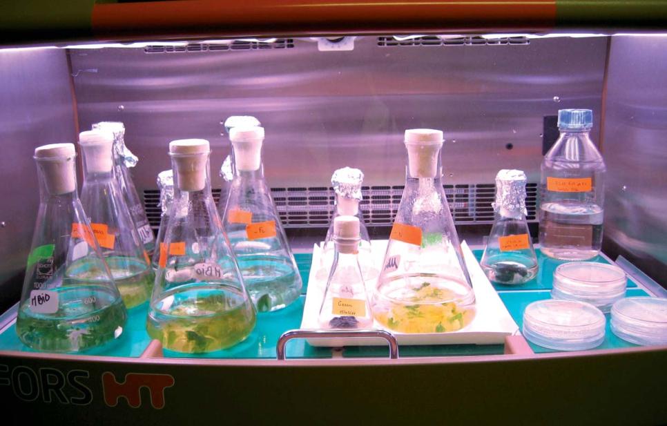 Laboratoire