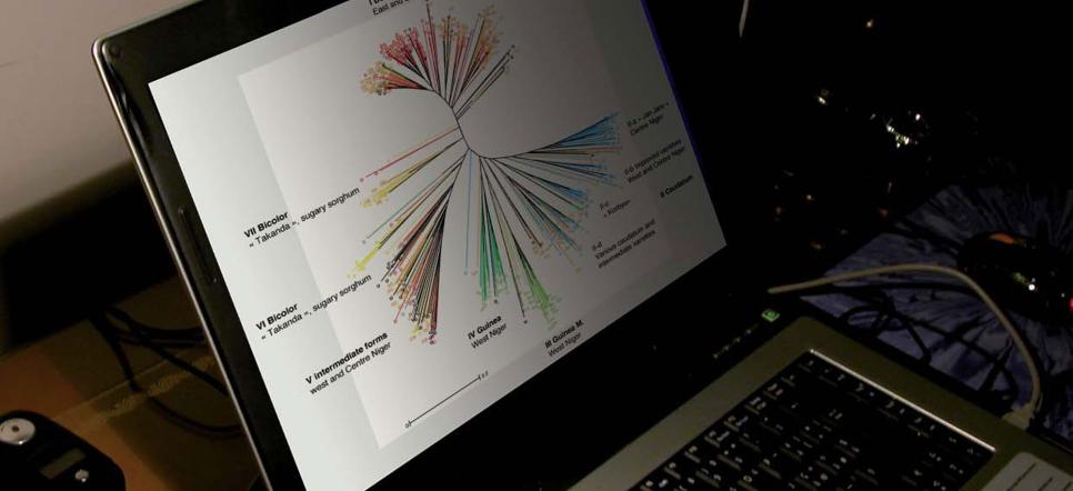 Les outils à la diffusion
