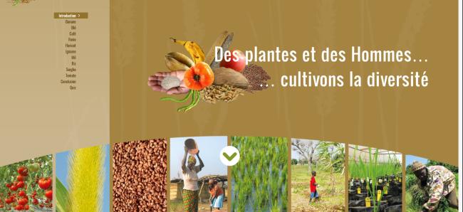Des Plantes et des Hommes