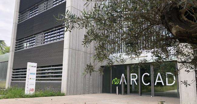 ARCAD