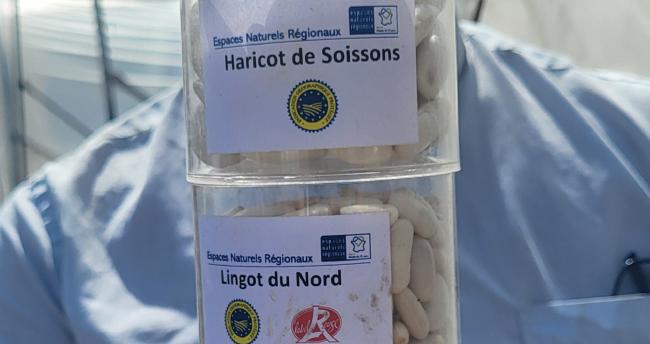 Haricots