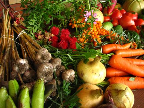 L'agrobiodiversité