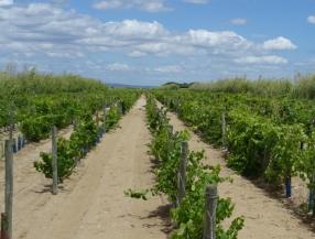 domaine de Vassal