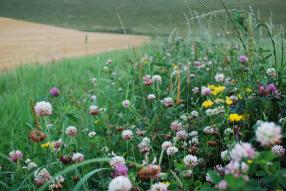 biodiversite_public
