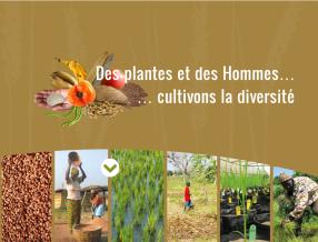 Des Plantes et des Hommes