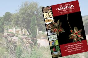 Dossier des Collections