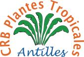 logo CRB plantes tropicales