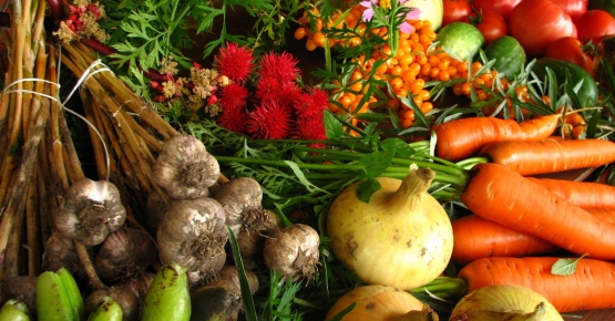 Légumes biologiques