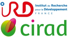 Logo CIRAD IRD