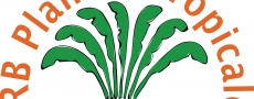 Logo CRB Plantes Tropicales